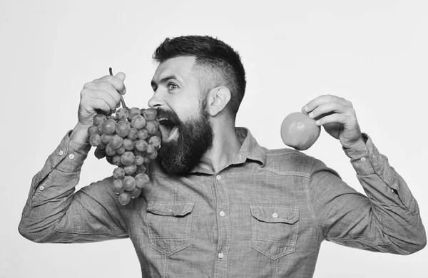 Bauer zeigt Ernte. Weinbau und Herbstfruchtkonzept — Stockfoto