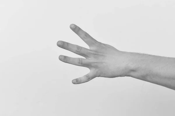 Χέρι που απομονώνονται σε ανοικτό γκρίζο παρασκήνιο, αντίγραφο χώρου. Αντίστροφη μέτρηση — Φωτογραφία Αρχείου