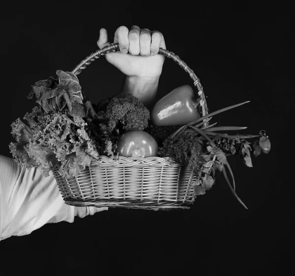 Mão masculina segura cesta de vime com legumes no fundo preto . — Fotografia de Stock