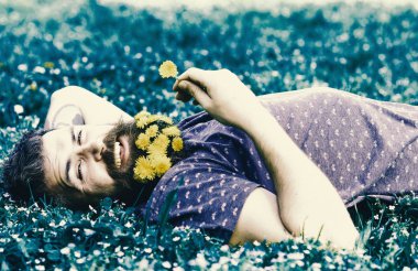 Spa ve sağlıklı yaşam konsepti. Hippi sakal rahatlatıcı dandelions buket. Sakallı yüzü gülen üzerinde doğa keyfini çıkarın. Sakallı adam karahindiba çiçekli çayır, çimen arka plan üzerinde yatıyordu