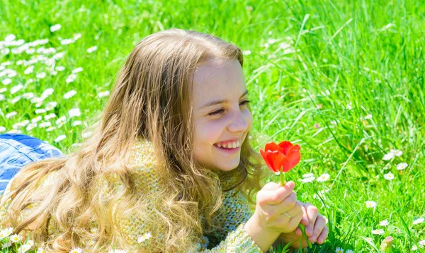 子供は、草原に横たわっている間チューリップの香りをお楽しみください。幸せそうな顔の女の子は、日当たりの良い春の日の赤いチューリップの花を保持します。草地、草背景に横になっている長い髪を持つ少女。春の利益概念 — ストック写真