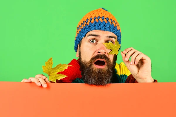 Oktober und November Zeit Idee. Mann hält Ahornbaumblätter in der Hand — Stockfoto