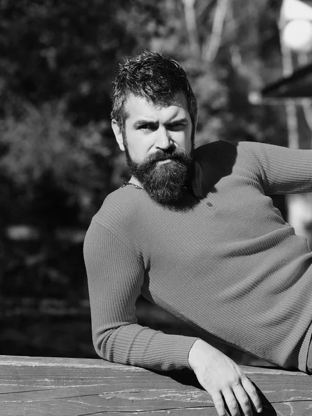 Sonbahar zaman ve güneşli hava kavramı. Adam kendinden emin yüz