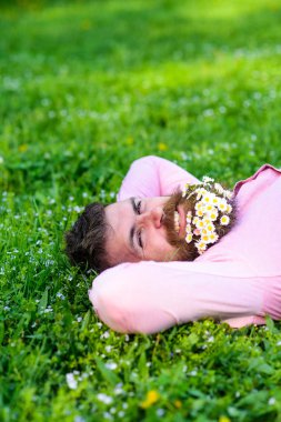Mutlu yüzlü sakallı adam doğanın tadını çıkarıyor. Doğa kavramı ile birleştir. Sakallı ve sakallı sakallı sakallı bir adam çayırda uzanmış, çimen arka planda. Sakallı bir buket papatya gevşetiyor.