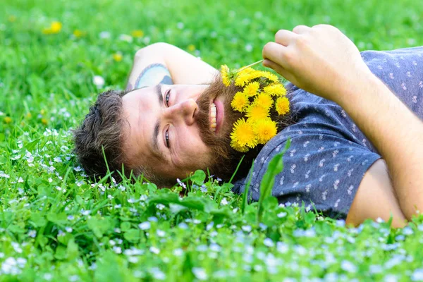 Spa ve sağlıklı yaşam konsepti. Sakallı adam karahindiba çiçekli çayır, çimen arka plan üzerinde yatıyordu. Sakallı yüzü gülen üzerinde doğa keyfini çıkarın. Hipster sakal rahatlatıcı dandelions buket