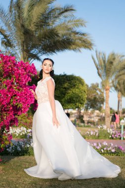 Düğün kavramı. Gelinlik kadın. Düğün günü geldi. Düğün kutlama ve Resepsiyon