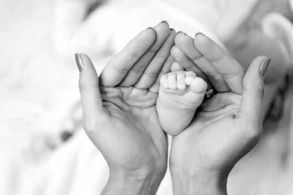 Siamo una famiglia. Piede bambino in mani femminili. Il concetto della festa della mamma. Amore e fiducia della famiglia. Piccolo piedino. Infanzia e concetto spensierato. Sostegno di genitori. unità e protezione — Foto Stock