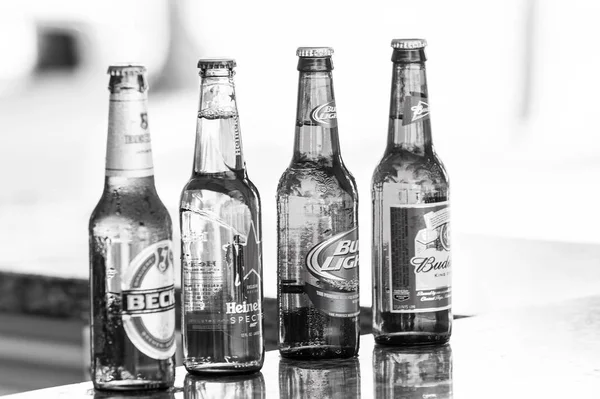 Birra in bottiglie di vetro sul bancone del bar. Alcol, cattive abitudini. Rinfresco, bevande, bevande. Festa della birra, festa — Foto Stock