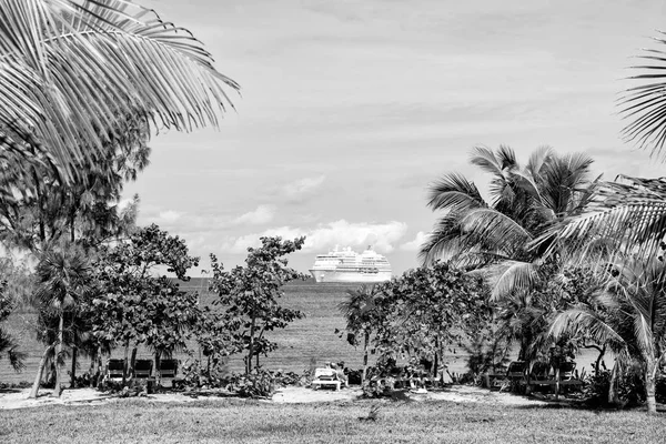棕榈树，白色的游轮在海滩的绿松石海 — 图库照片