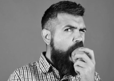 Adam kendi yetiştirdiği hasatı yiyor. Sakallı adam elmayı ısırır.