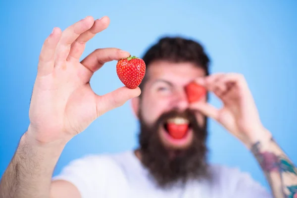 Uomo barbuto ammiccante con bacca rossa, sfocato. L'uomo bello hipster lunga barba mangiare tenere fragola. Concetto perfetto di fragola. Guarda la mia bacca. Hipster felice godere succosa fragola sfondo blu — Foto Stock