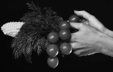 Çiftçilik ve sonbahar ürünleri. Mısır koçanı ve domates bileşimi