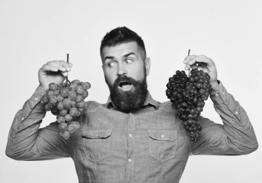 Bahçecilik ve bahçecilik konsepti. Şaşırmış yüzlü şarap tüccarı.