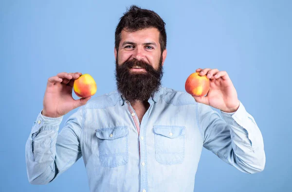 Харчовий вибір. Чоловік з бородатим хіпстером тримає яблучний фрукт в руці. Факти харчування та користь для здоров'я. Яблука популярного типу фруктів у світі. Яблучні антиоксидантні сполуки, відповідальні за користь для здоров'я — стокове фото