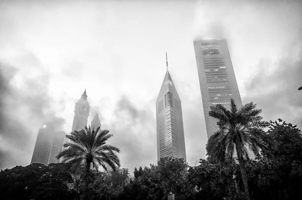 Dubai, Emirati Arabi Uniti - 23 dicembre 2017: palme e torri sul cielo nuvoloso. Skyline con giardino tropicale nella nebbia mattutina. Architettura o struttura e design. Concetto di sviluppo futuro — Foto Stock