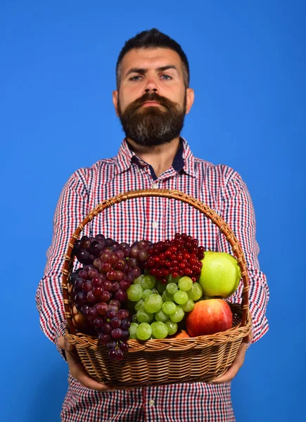 Mannen med skägget håller korgen med frukt på blå bakgrund — Stockfoto