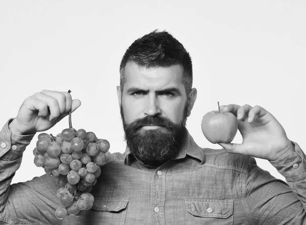 深刻な顔を持つワイン生産者はブドウと赤い果実を保持しています. — ストック写真