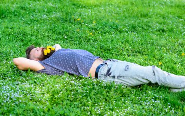 Sakal karahindiba çiçeklerle sakallı adam çayır, çimen arka plan üzerinde yatıyordu. Bahar kavramı. Sakallı yüzü uyku üzerinde bahar tadını çıkarın. Hipster sakal rahatlatıcı dandelions buket