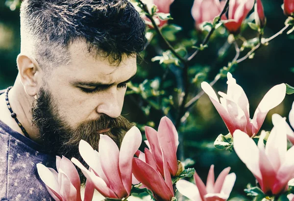 Hombre barbudo con corte de pelo fresco olfatea la floración de magnolia. Concepto de perfumista. Hipster disfruta del aroma de la flor púrpura. Hombre con barba y bigote en la cara tranquila cerca de magnolia flores, fondo desenfocado — Foto de Stock