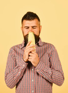 Sakallı adam sarı arka planda mısır koçanı tutuyor.