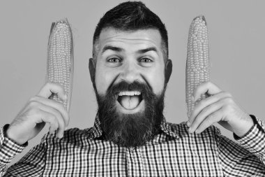 Çiftçilik ve sonbahar ekinleri. Sakallı adam mısır koçanı tutuyor.