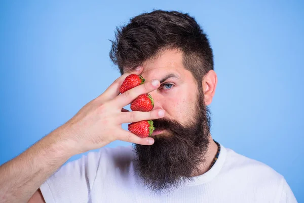 Hipster beard mustache thoughtful face think berries. Man bearded hipster hold hand with strawberries near face. Man can not think about anything but strawberry blue background. Strawberry on my mind
