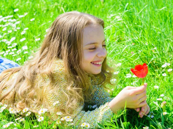 Dítě ležící na louce a vychutnejte si vůni tulipánu. Dívka s dlouhými vlasy leží na grassplot, sněhová vločka. Dívka na šťastné tváře drží červený Tulipán květ na slunný jarní den. Koncept parfému — Stock fotografie
