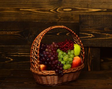 Üzüm ve elma hasır sepet içinde. Hasat ve Bahçe kavramı. Sepet vintage ahşap zemin üzerine homegrown sonbahar meyve dolu