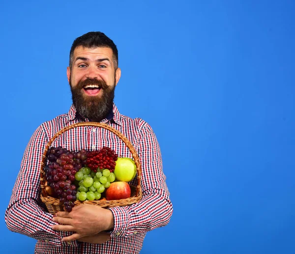 Guy innehar sin skörd. Jordbruk och Trädgårdsskötsel koncept. Bonde med glada ansikte presenterar äpplen, druvor och tranbär — Stockfoto