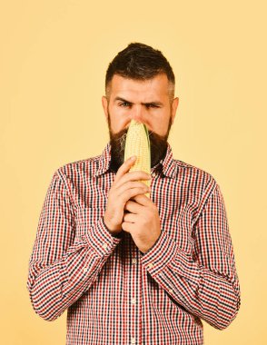 Adam hasatını gösteriyor. Şüpheli yüzlü çiftçi mısır kokusu alıyor.