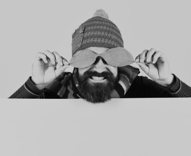 Adam pembe arka planda sarı kiraz ağacı yaprakları tutuyor.