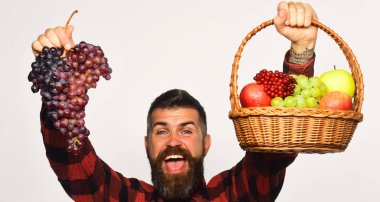 Hasatı olan adam. Sakallı adam elinde meyve sepeti tutuyor.