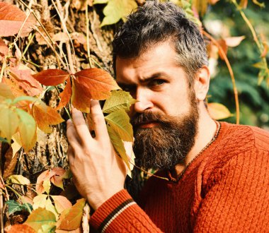 Sonbahar sezonu ve erkeklik kavramı. Ciddi yüzlü adam.