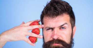 Adam hipster tutun el ile çilek yüz yakınındaki sakallı. Adam hakkında çilek mavi arka plan başka bir şey düşünemiyorum. Hipster sakal bıyık düşünceli yüz çilek düşünüyorum. Çilek aklımda