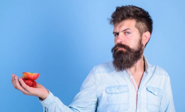 Sakallı adam katı yüz organik davranır sunmaktadır. Muamele etmek var. Sakallı hippi çilek ve elma avuç içinde tutar. Adam çilek denemek teklifler ve elma meyve mavi arka plan davranır