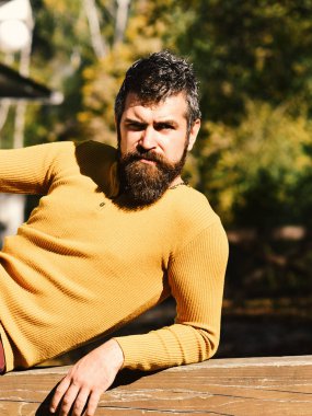 Maço parkta vakit geçiriyor. Sonbahar zaman ve güneşli hava kavramı. Adam kendinden emin yüz