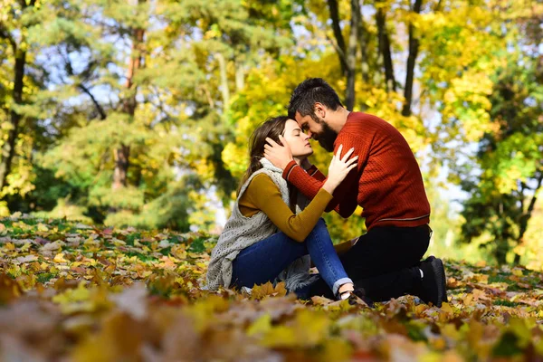 Пара влюбленных в шарфы сидит на листьях в парке — стоковое фото