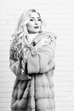 tuğla duvar studio arka plan, kürk moda seksi kadın moda makyaj