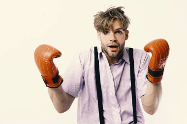 Boks ve komik çatışma kavramı. Beyaz arka plan üzerinde izole deri kutu ekipman ile inek.