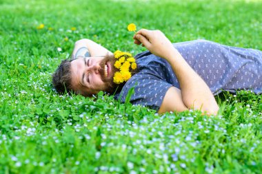 Doğal güzellik kavramı. Hippi sakal rahatlatıcı dandelions buket. Sakallı yüzü gülen üzerinde doğa keyfini çıkarın. Sakallı adam karahindiba çiçekli çayır, çimen arka plan üzerinde yatıyordu