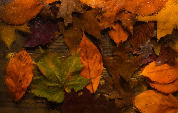 Concetto di texture di sfondo. Sfondo autunnale, vista attraverso il vetro bagnato su legno e foglie cadute. Gocce d'acqua o pioggia su vetro trasparente e foglie autunnali arancioni su texture lignea — Foto Stock