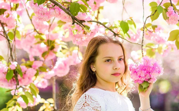 デフォーカスの花と桜の下で夢のような顔立ち騎乗の枝します。優しさの概念。背景に長い髪の屋外、桜の花を持つ少女。かわいい子が春の日に自然を楽しむ — ストック写真
