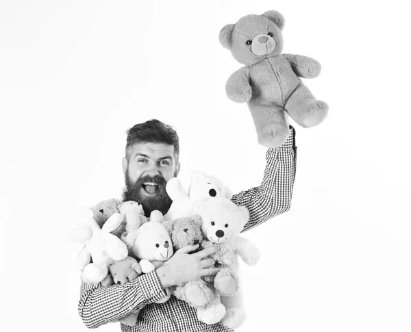 Homem com cara feliz abraça ursinhos de pelúcia ou brinquedos macios. Macho com barba segurar brinquedos de pelúcia ou ursinhos de pelúcia — Fotografia de Stock