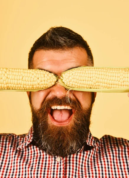 Concepto de agricultura y cultivos de otoño. Granjero con cara alegre sostiene maíz amarillo cubriendo sus ojos —  Fotos de Stock