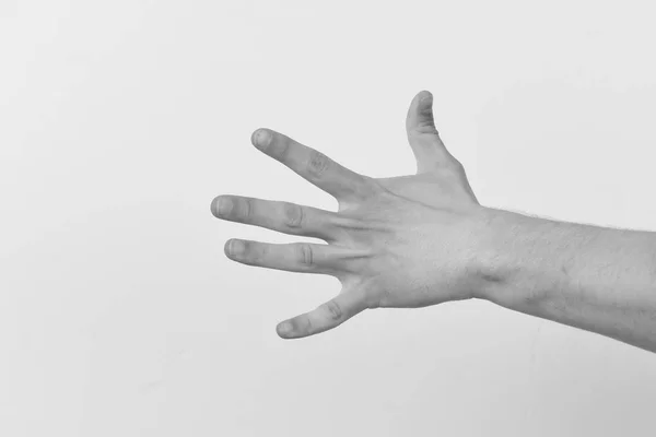 La mano masculina muestra cuatro dedos. El gesto de la mano expresa números. Cuenta atrás y concepto de comunicación no verbal —  Fotos de Stock