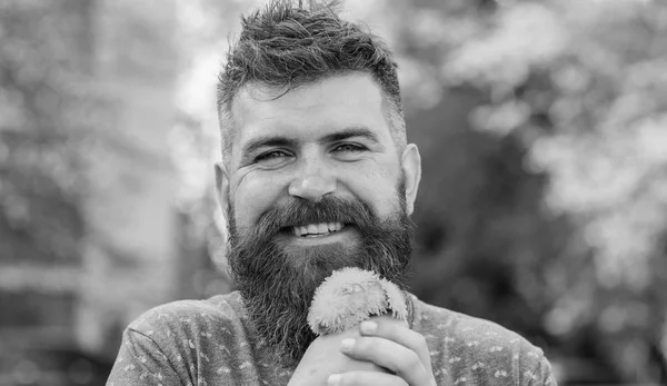 Romantische concept. Romantische hipster gemaakt boeket, groene natuur achtergrond, intreepupil. Man met baard en snor op blij gezicht houdt boeket van paardebloemen. Bebaarde man houdt gele paardebloemen — Stockfoto