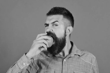 Sakallı yeşil meyve üzerinde yeşil arka plan izole ısırır. Adam homegrown hasat sunar. Çiftçi aç yüzü ile elma yiyor