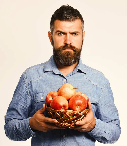 Guy presents homegrown harvest. Man with beard holds wicker bowl with fruit