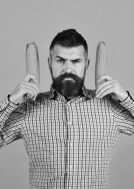 Adam hasatını gösteriyor. Tarım ve sonbahar ürünleri kavramı.