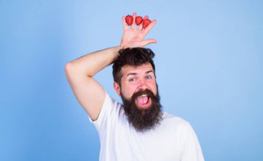 Adam hipster tutan el ile çilek başının üstünde taç sakallı. Çilek Kral kavramı. Hipster crown ile mutlu sakallı yüzü. Adam başarılı bahçıvan çilek mavi arka plan kralı